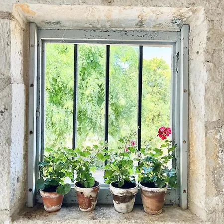 فندق مبيت وإفطار Du Lion D'or 3*