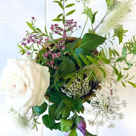 فندق مبيت وإفطار Du Lion D'or 3*