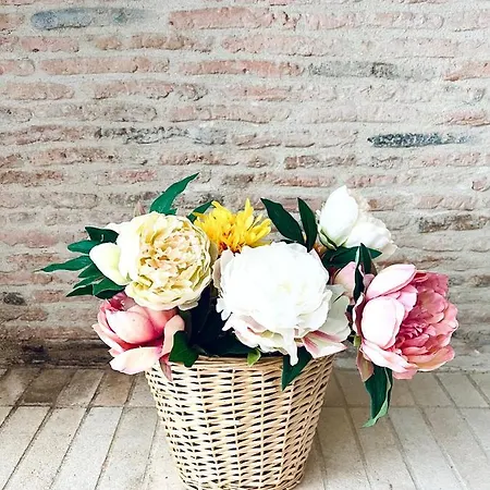 Du Lion D'or فندق مبيت وإفطار 3*