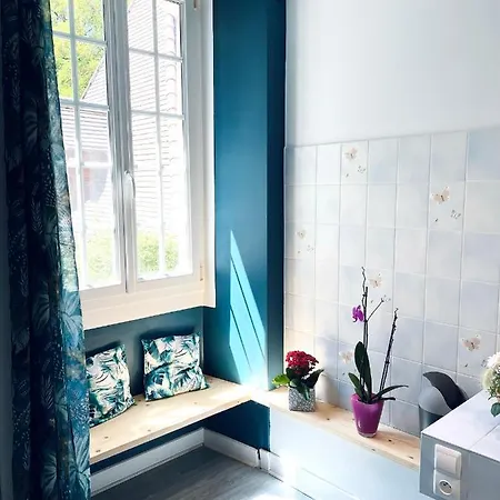 فندق مبيت وإفطار Du Lion D'or 3*