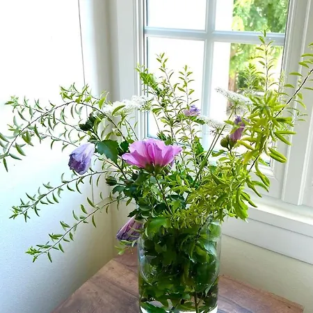 Du Lion D'or Oda ve Kahvaltı Lanzac